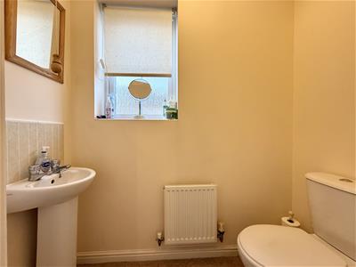 Picture 7